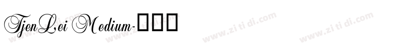 TjenLei Medium字体转换